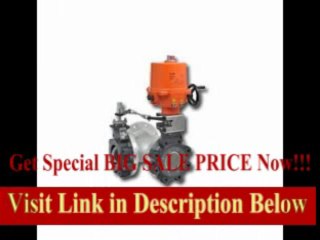 [BEST PRICE] Butterfly Valve
