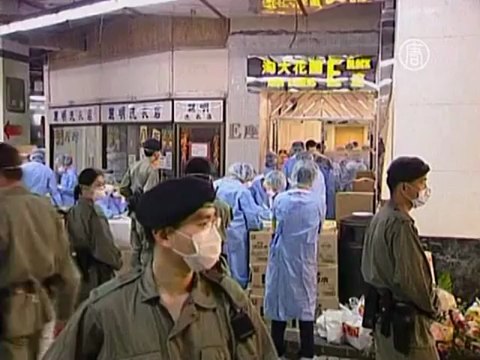 В Китае умирают от нового штамма птичьего гриппа