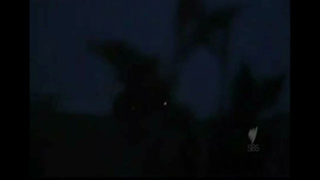 UFO's: E.T. is ready and waiting. LET'S GO...-featured 15