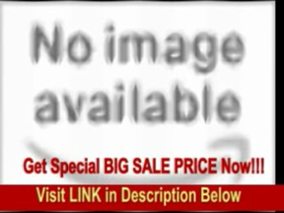 [BEST PRICE] Montegrappa Eternal Bird Yellow Gold Rollerball Pen