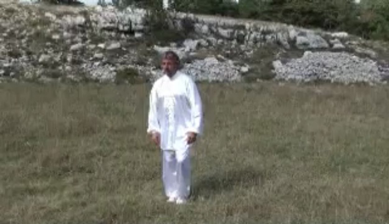 Tai Chi Fred 3 Test pour justmytalent