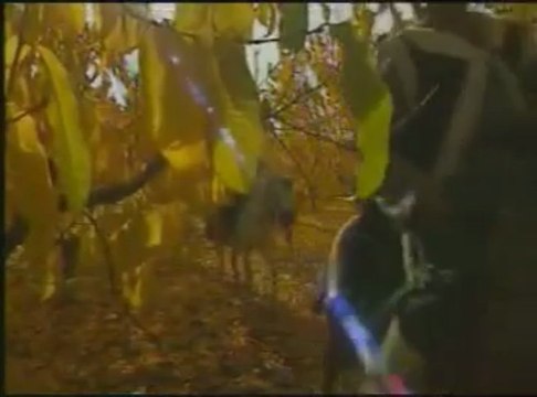 Münür Nuray - Osmanlı Devleti'nin Kuruluşu Belgeseli 3. Bölüm