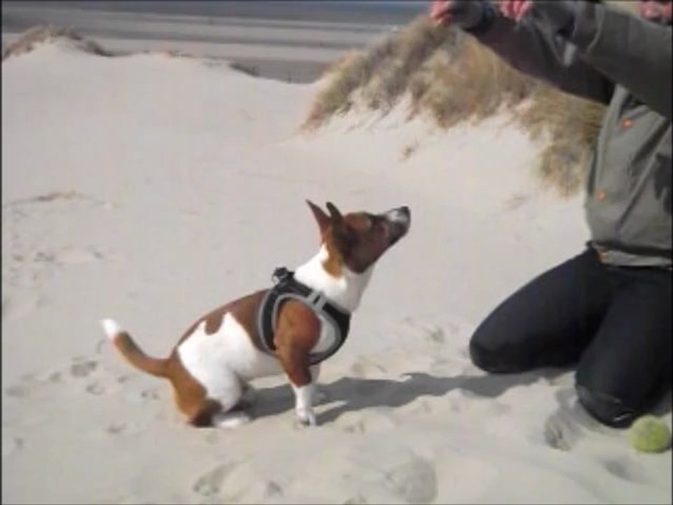 HaaAaadeeessss _ 7 mois