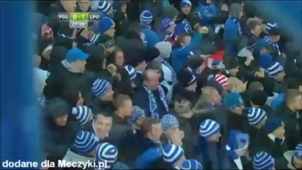 pog lpo polowa