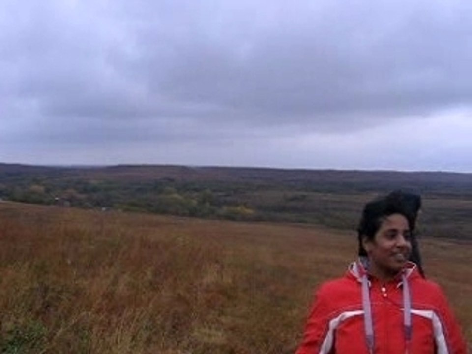 Konza prairie