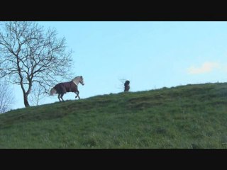 La fin de trois années merveilleuses