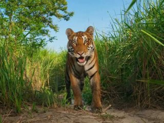 AMAZING , MAGIC PHOTOS OF NATIONAL GEOGRAPHIC !