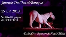 Journée du Cheval Baroque 2013 - Ecole d'Art Equestre de Haute Alsace
