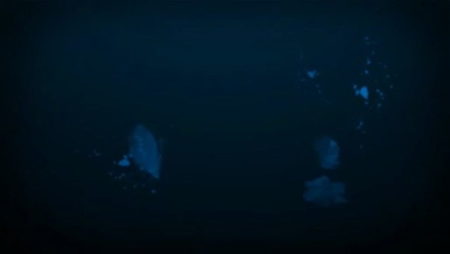 Las Vegas Web Design