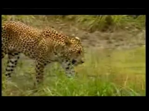 Tripgotrip Review | Wild-Life Plants Botanical-Gardens