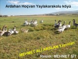 Ardahan Hoçvan Yaylakarakolu Köyü @ MEHMET ALİ ARSLAN Yayınları