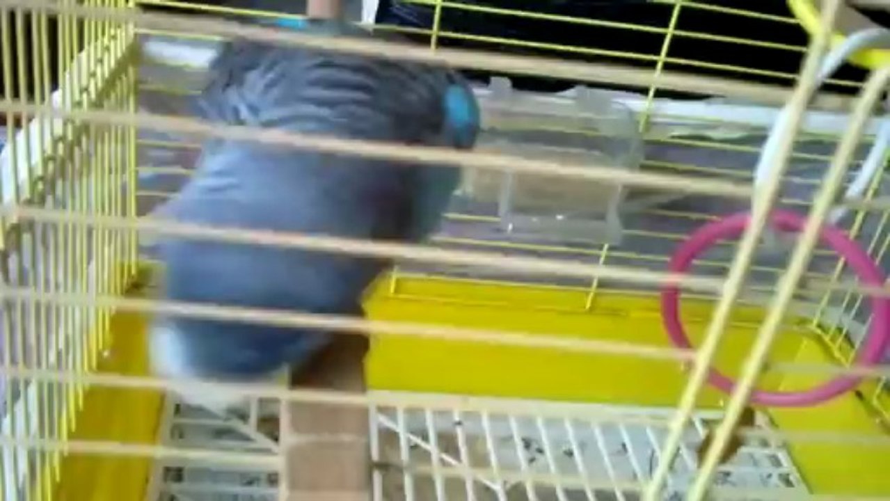2013-03-31-603