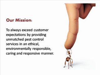 pest control services in Auckland