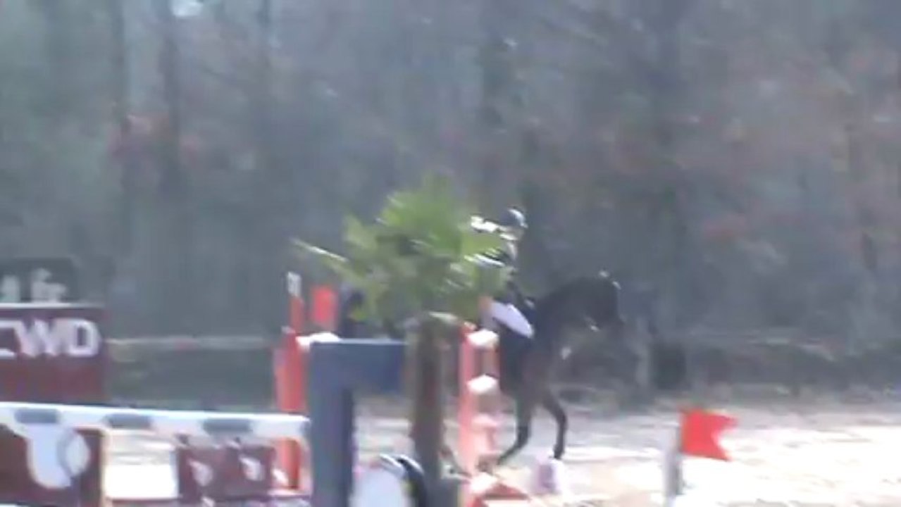 GP 2*145 Barbizon 2013 WARRALDO
