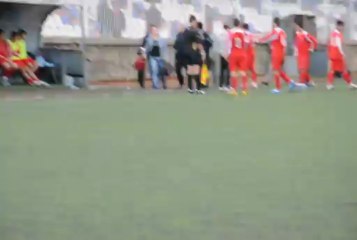 Bayan Seyirci Sahaya Girdi