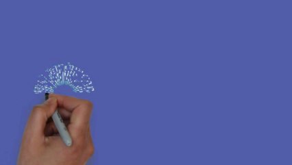 Denver Window Coverings