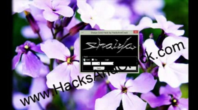 Shaiya Gold Pirater [Hack Cheat] [téléchargement] Avril 2013