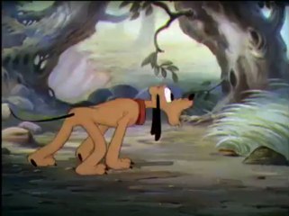 Mickey Mouse, Pluto - The Pointer