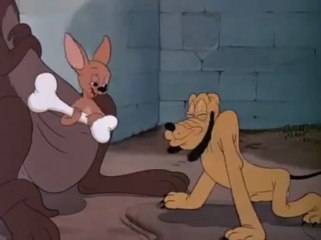 Pluto - Pluto at the Zoo