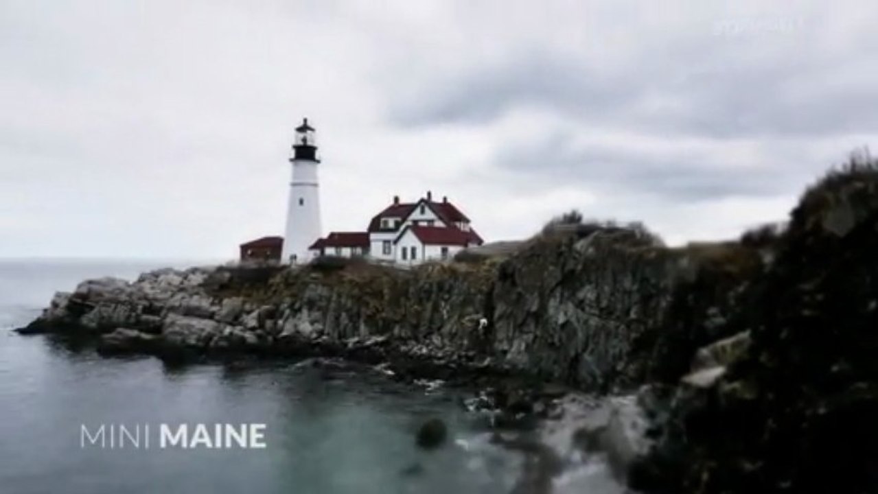 Mini Maine