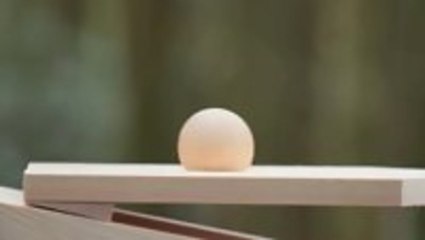 Bach Played On Marimbas In An Ancient Forest