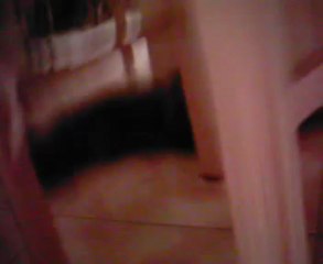 le chat qui joue avec une couverture et une petit corde