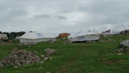 In north Syria, eating grasses to survive