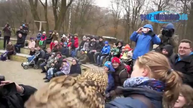 München: Greifvogel-Show im Tierpark Hellabrunn erhält neue Showbühne