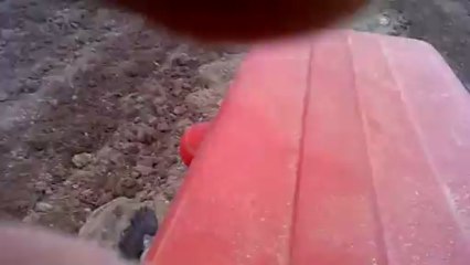 Mf 135 2013 nohut yeri hazırlamada