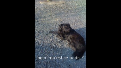 Blacky Jo séance de pause photos