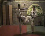 (chudan) mawashi geri : soto ashibo kake uke