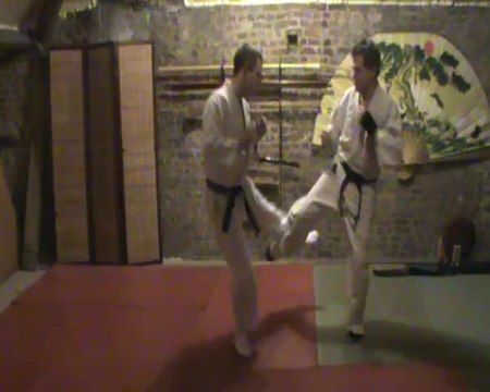 (gedan) mawashi geri : soto ashikubi kake uke