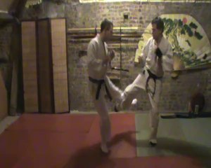 (gedan) mawashi geri : soto ashikubi kake uke