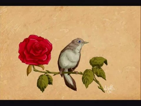 Erkan OĞUR _ Cengiz ÖZKAN - Ne Feryad Edersin Divane Bülbül