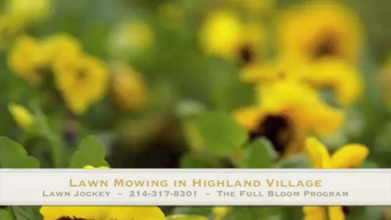 Highland Village Lawn Maintenance