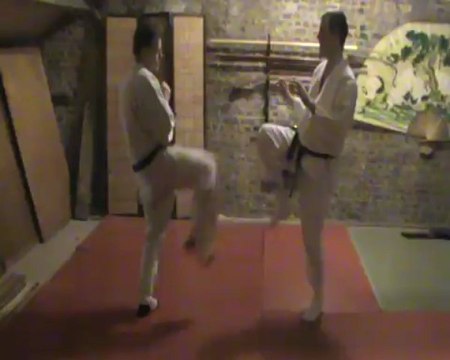 (mae-ashi) gedan mae geri : ashi uke sabaki to geri