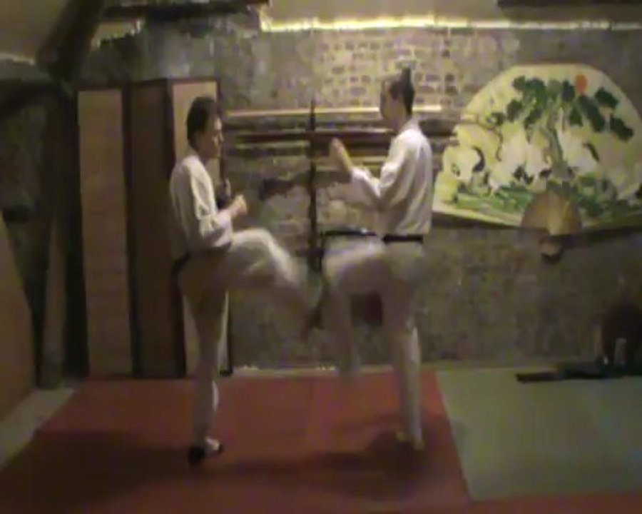 (mae-ashi) mae geri : soto ashibo kake uke to tsuki