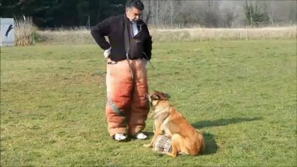 L'ACS Carsan présente Garou Mars 2013