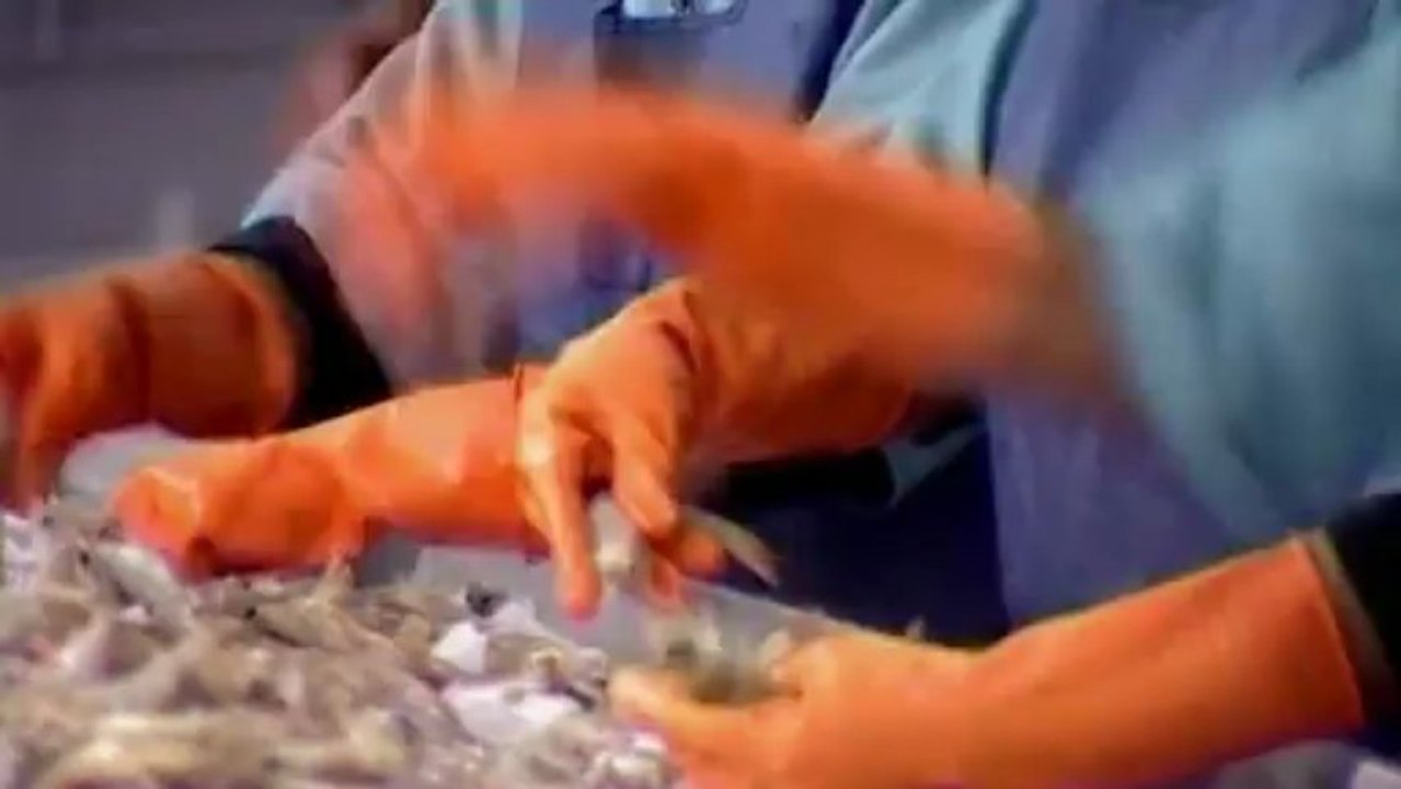 Resumption of Fisheries exports from Pakistan to EU.