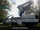 Arbor Tech Tree Care: Affordable Tree Pruning and Removal by Certified Arborists in Lakeland FL