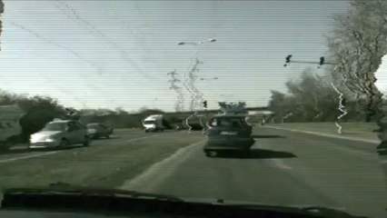 Des planches et des vaches 2013