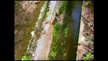 My Home Sewage Treatment System