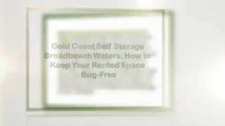 Gold Coast Self Storage Broadbeach Waters: How to Keep Your Rented Space Bug-Free