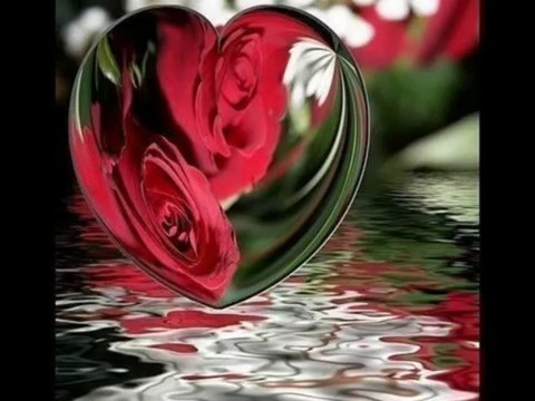 NİLÜFER SARITAŞ BÜLBÜL AĞLAR GÜL AĞLAR