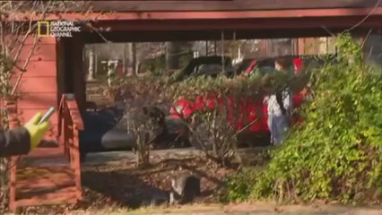 Familles Apocalypse: Catastrophe imminente