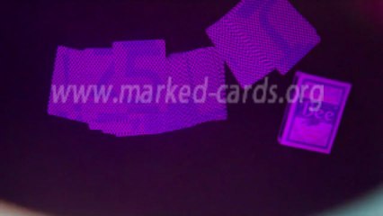 Bee(blue)-MARKED-PLAYING-DECKS