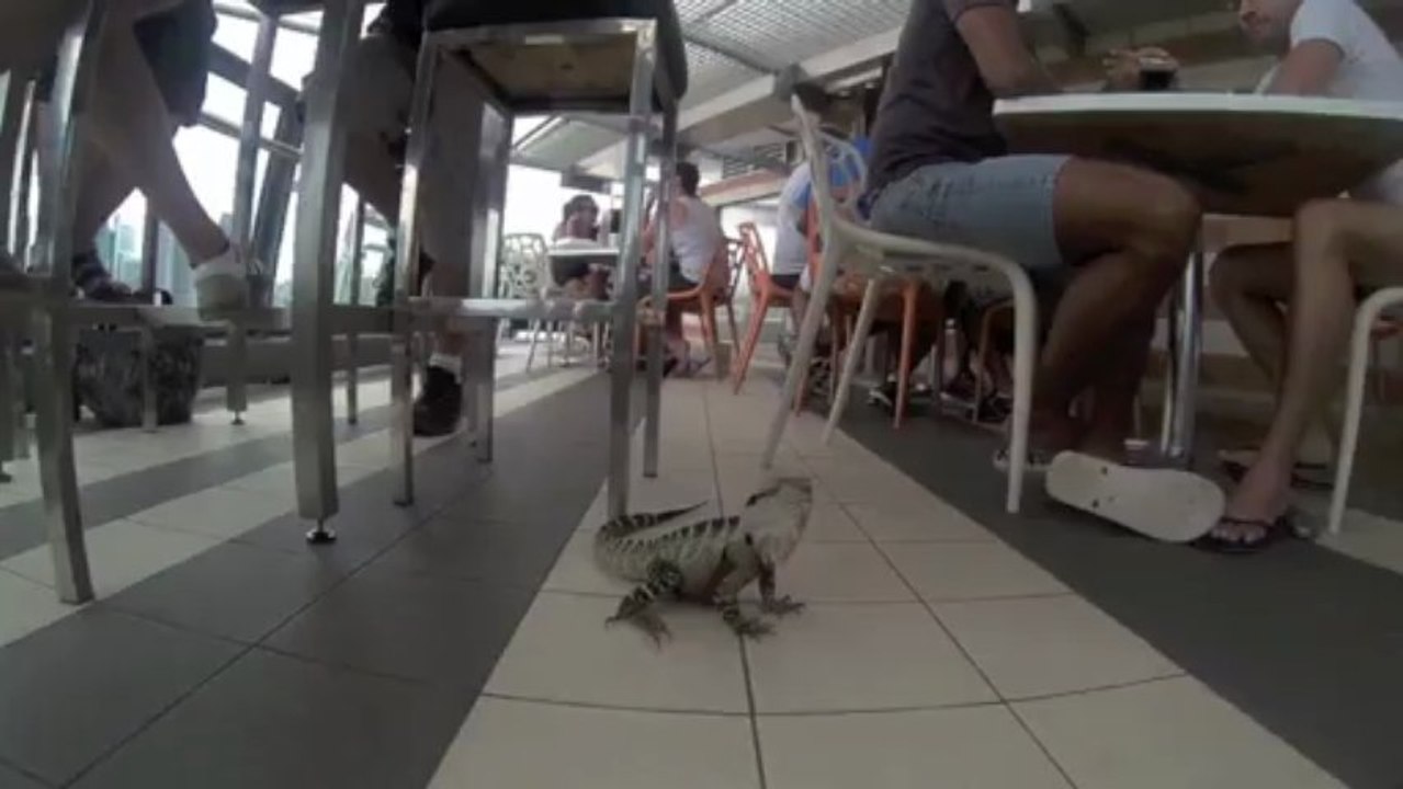 Brisbane video