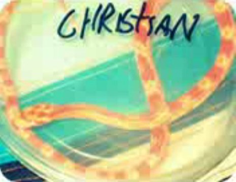 호게임☱☱☱☱ Mkk321.COM ☱☱☱☱호게임