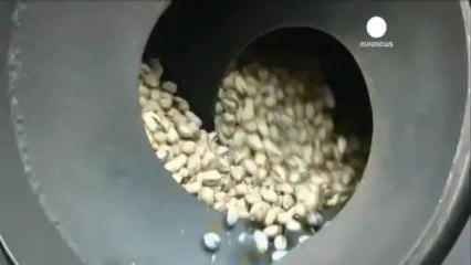 Iranians go nuts over pistachio prices