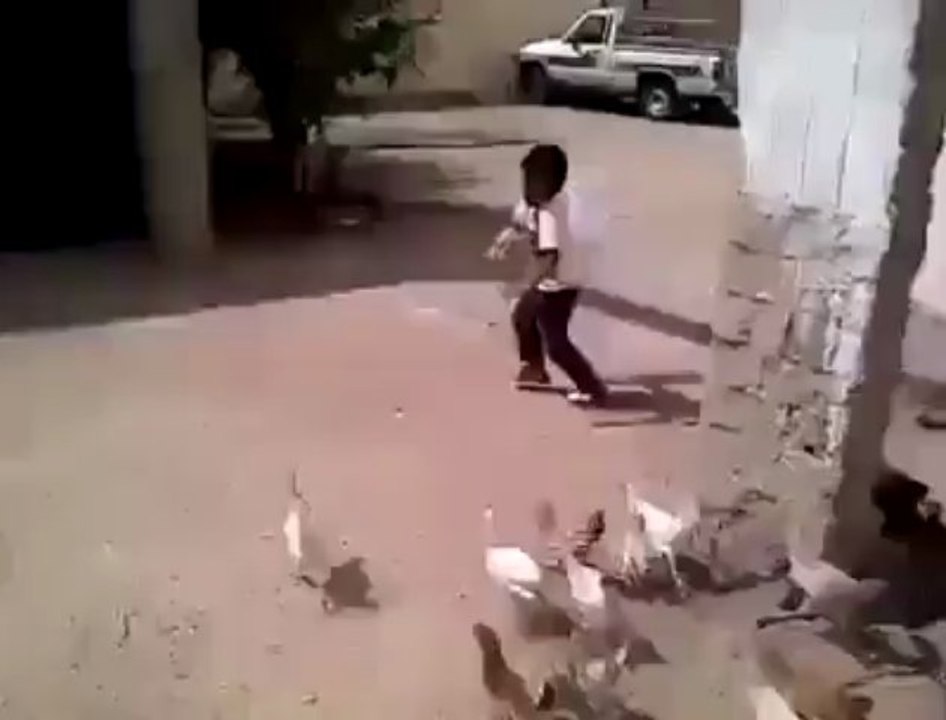 imranjaniss